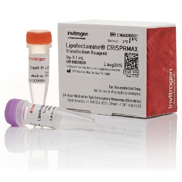 LIPOFECTAMINE CRISPRMAX 0.1ML EACH，CMAX00001，Invitrogen