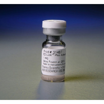 EZ-LINK  PLUS ACTIVATED PE ROXIDASE，31487，赛默飞世尔