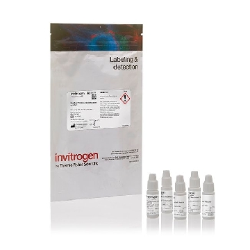 SLOWFADE GLASS WITH DAPI 5x2 mL，S36919，Applied Biosystems