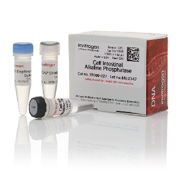 CALF INT. ALK. PHOSPH. 1000 UN，18009027，Invitrogen