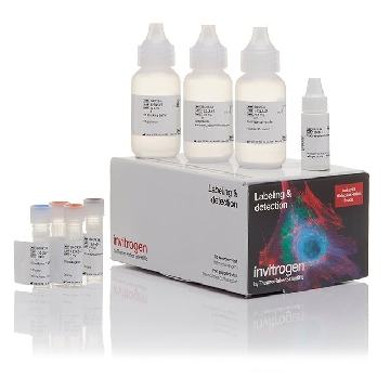 AF 647 TYRAMIDE KIT STV 150 SLIDES，B40936，Invitrogen