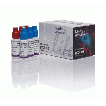READYPROBES VIABILITY BLU/RED 1 kit，R37610，Invitrogen