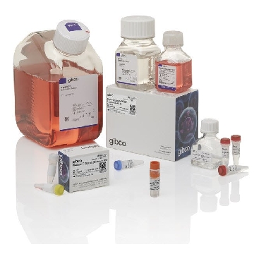 EXPI293 GNTI EXP SYSTEM EA，A39250，Applied Biosystems