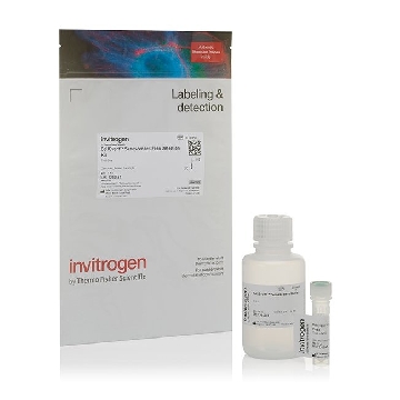 Probes SENESCENCE GREEN IMG 25 1 KIT，C10850，赛默飞世尔