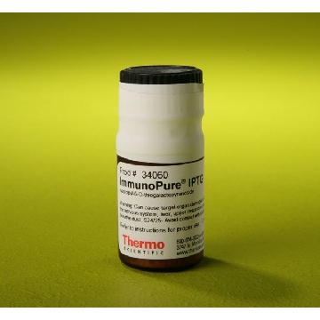 IMMUNOPURE IPTG; ISOPROPYL-B-D -THIOGALACTOPYRANOSIDE, 1 G，34060，赛默飞世尔