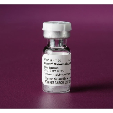 IMJECT MALEIMIDE ACTIVATED OVA LBUMIN, 2 MG，77126，赛默飞世尔