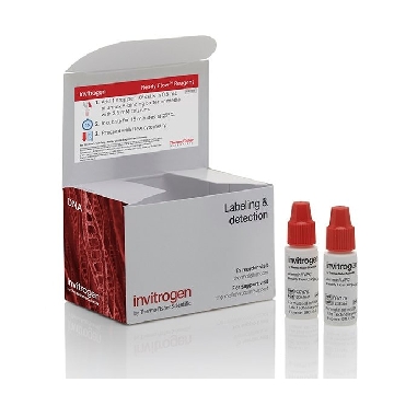 Probes APC ANNEXIN READY FLOW 2 X 2.5 ML，R37176，赛默飞世尔