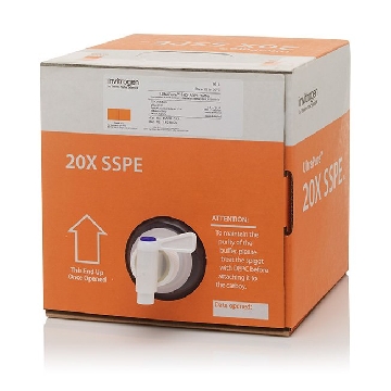 SSPE BUFFER 10L，15591027，Invitrogen