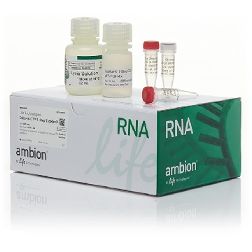 Transfer SKU FG TAQMAN 1STEP CELLS TO CT 400 RXN，A25602，赛默飞世尔