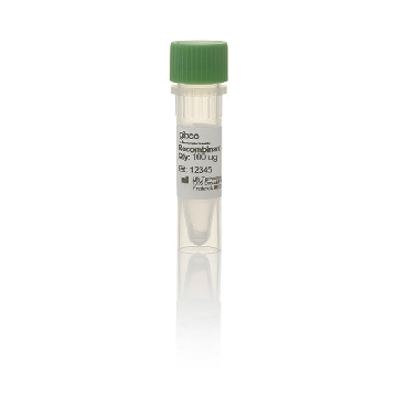 MOUSE LIF, ESC-QUALIFIED 100UG，A35935，Invitrogen