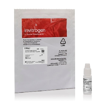 PROLONG GLASS WITH SYTOX DR 2 mL，P36993，Applied Biosystems
