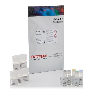 FLUXOR RED POTASSIUM 2 PL 1 KIT，F20018，Invitrogen