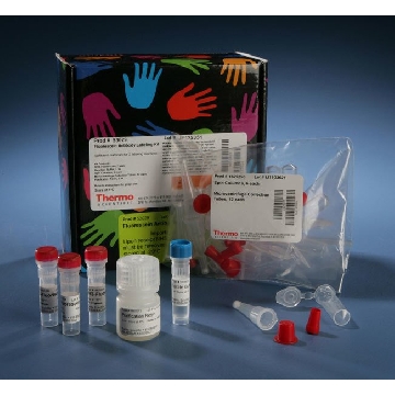 FLUORESCEIN ANTIBODY LABELING KIT，53029，Invitrogen