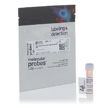ALEXA FLUOR 555 CARBOX 1 MG，A20009，Invitrogen