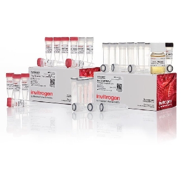 KIT,TA CLONING 20 RXN，K200001，Invitrogen