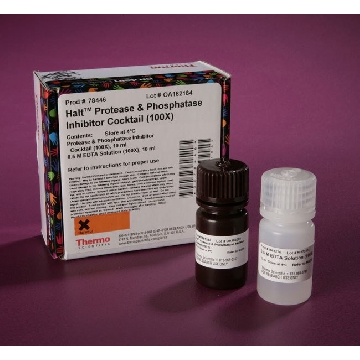 HALTPROTEASE & PHOSPHATASE INHIBITOR COCKTAIL (100X),，78446，赛默飞世尔