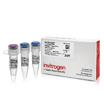 PLATINUM SUPERFI II DNA POL 100 RXN，12361010，Applied Biosystems