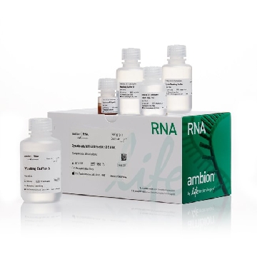 Transfer SKU DYNABEADS MRNA DIRECT KIT 2 X 5 ML，61012，赛默飞世尔