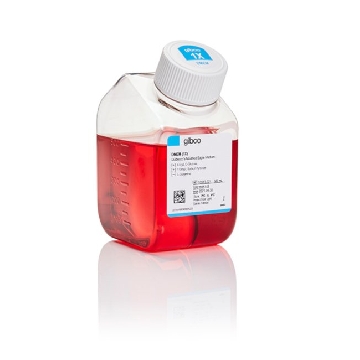 DMEM 500ML，10313021，Invitrogen