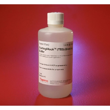 STARTING BLOCK (TBS) BLOCKING NG BUFFER, 1 LITER，37542，赛默飞世尔