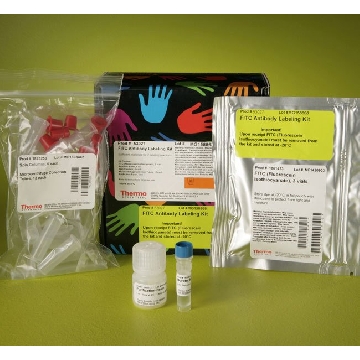 FITC ANTIBODY LABELING KIT EA，53027，Invitrogen