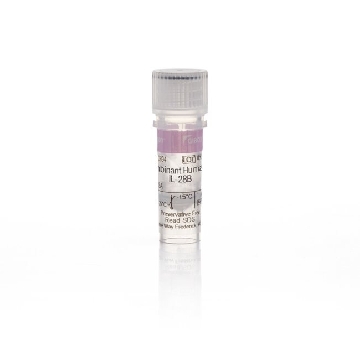 REC HU IL-28B, 10UG 10 UG，PHC0894，Invitrogen