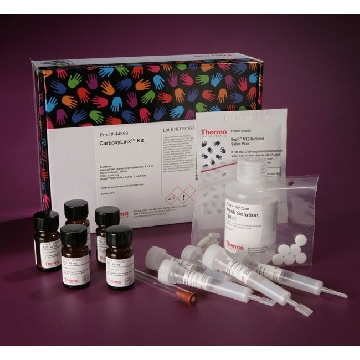 CARBOXYLINK  KIT EA，44899，赛默飞世尔