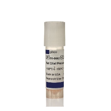 RAT GLIAL PRECURSOR CELLS 1 ML; 1E6 CELLS/ML，N7746100，Invitrogen