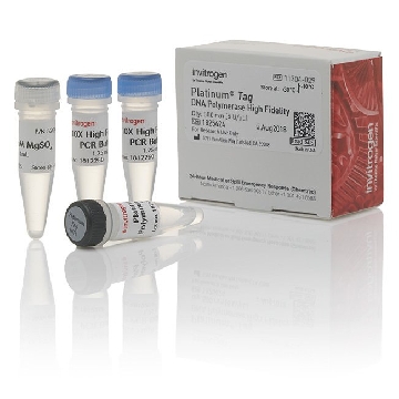 PLATINUM TAQ HIGH FIDELITY 500 REACTIONS  95514, 52045，11304029，Invitrogen