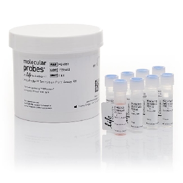 MITOPROBE TRANSITION PORE ASSA 1 KIT，M34153，Invitrogen
