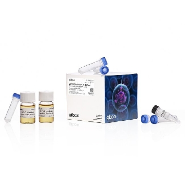 MAX EFF DH10BAC COMP CELLS 0.5 ML               #10361，10361012，Invitrogen