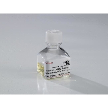 BACMAM LRRK2 WT REAGENT 15 mL，A13388，Invitrogen