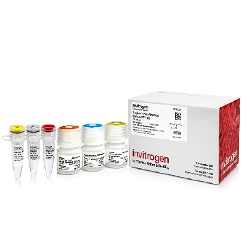 TAQMAN FA CELLS-TO-CT 100RXN 100 RXN，A35377，Applied Biosystems