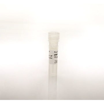 PNFKB TLUC16-DD EACH，88246，赛默飞世尔