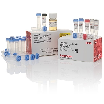 ZERO BLUNT TOPO/ MACH1 (25) 25 RXN，K283020，Invitrogen