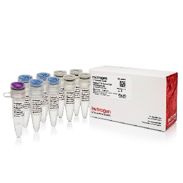 PLATINUM II TAQ HS DNA POL 500 RXNS，14966005，Applied Biosystems
