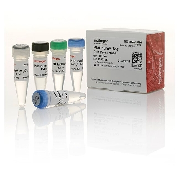 PLATINUM TAQ DNA POLYMERASE 300 REACTIONS #95514, #Y02028，10966026，Invitrogen