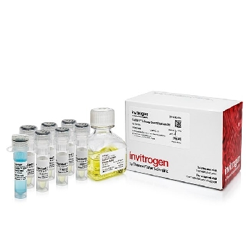 LIBRARY QUANTIFICATION KIT 100 RXNS，A38524100，赛默飞世尔