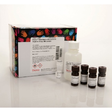 FLUOROMETRIC PEPTIDE ASSAY EACH，23290，赛默飞世尔