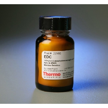 1-ETHYL-3-(3-DIMETHYLAMINOPROP YL)CARBODIIMIDE.HCL (EDC), 5GM，22980，赛默飞世尔