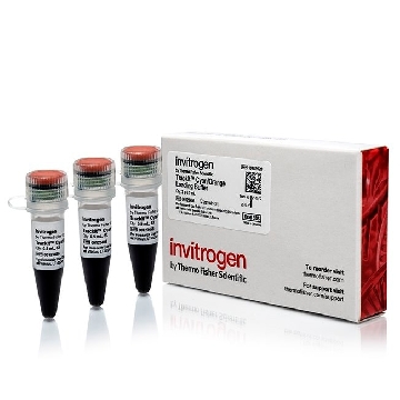 Transfer SKU TRACKIT CYAN/ORANGE BUFFER 3 X 0.5 ML，10482028，赛默飞世尔