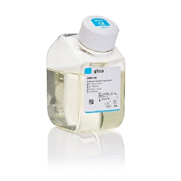 DMEM 500ML，31053028，Invitrogen