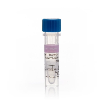 REC HU FGF BASIC, AOF, 50UG 50 UG，PHG6015，Invitrogen