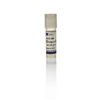 RHN 1M CELLS/VIAL EA = 1.0 ML/VIAL，A1084101，Invitrogen