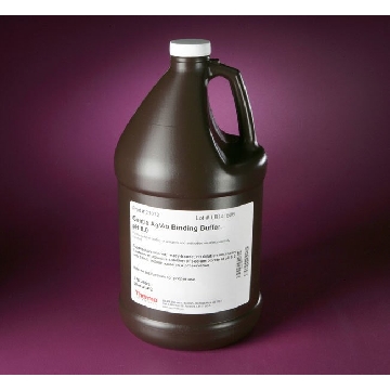 GENTLE AG/AB BINDING BUFFER, PH 8.0, 3.75 LITERS，21012，赛默飞世尔