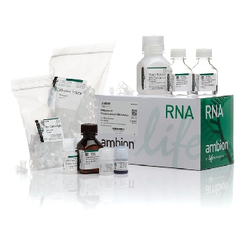 Transfer SKU RNAQUEOUS KIT 50 CARTRIDGES，AM1912，赛默飞世尔