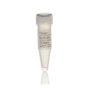 Transfer SKU 10 MM BIO-11-UTP 1 TUBE EACH，AM8450，赛默飞世尔
