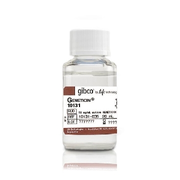GENETICIN 20ML，10131035，Invitrogen