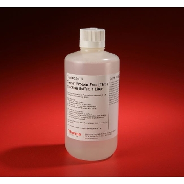 PIERCE PROTEIN-FREE (TBS) BLOCKING BUFFER, 1 LITER，37570，赛默飞世尔