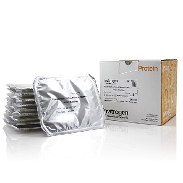 PB SELECT TRANSFER PVDF MINI 10 PK，PB5210，Invitrogen